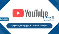 كم سعر الالف مشاهدة على اليوتيوب في السعودية