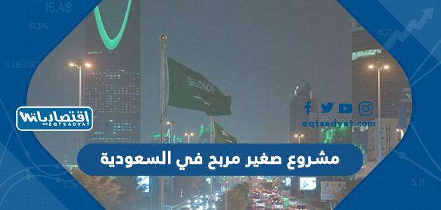 أفضل مشروع صغير مربح في السعودية 2023